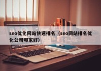 seo优化网站快速排名（seo网站排名优化公司哪家好）